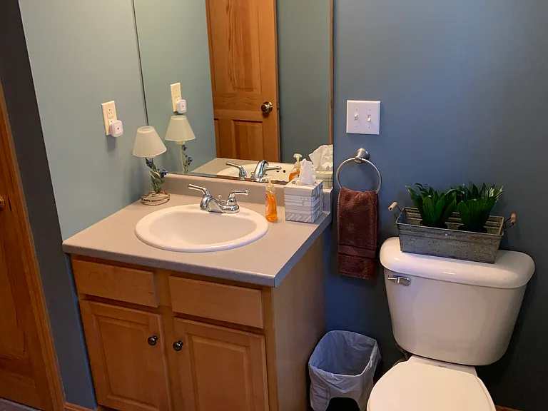 Downstairs bathroom, with shower unit.