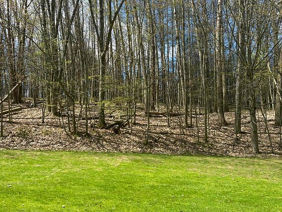 4th image of 9710 Pere Marquette Dr