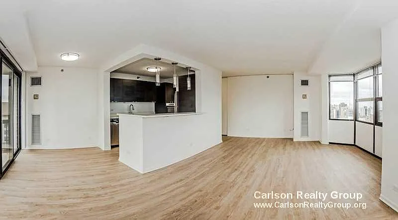 1221 N Dearborn St APT 405S photo 1
