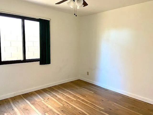 405 E Marigold Ln — Photo 19