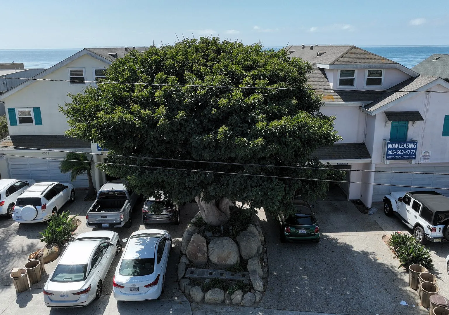 6579 Del Playa — Photo 3