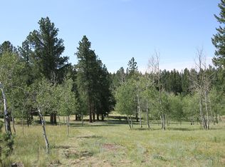 71 Beaver Creek Ct, Lake George, CO 80827