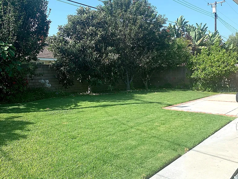 16068 Summershade Dr — Photo 16