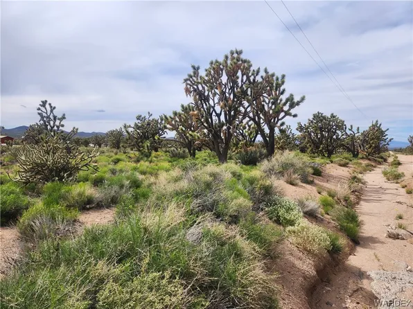 26135 N Pear Avenue, Meadview, AZ 86444