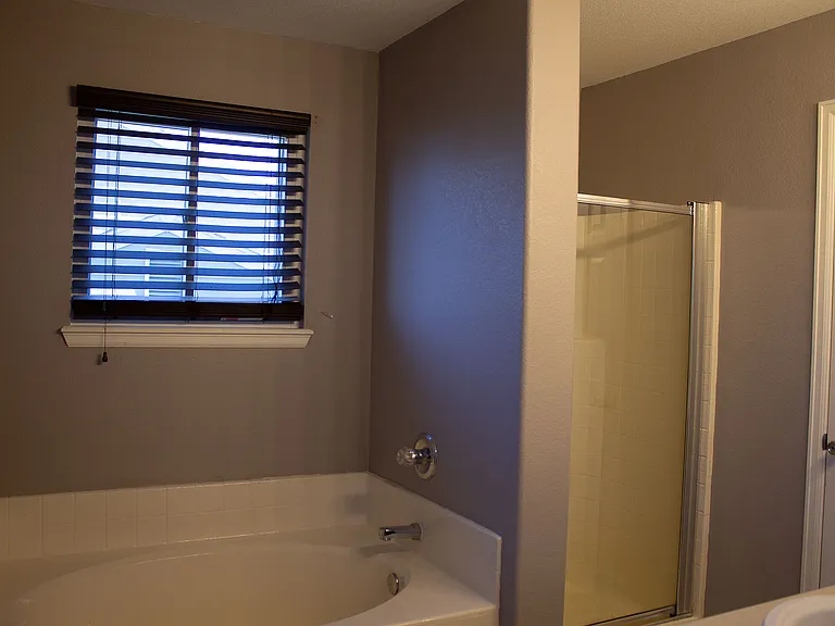 Master bath/shower