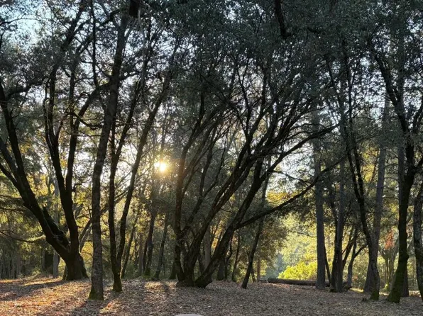 Hillcrest Blvd, Colfax, CA 95713