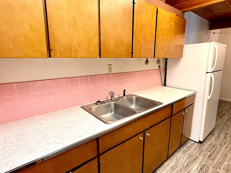 Sink and Fridge