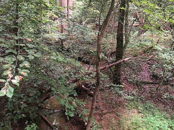 3rd image of 00 Nc Hwy 16