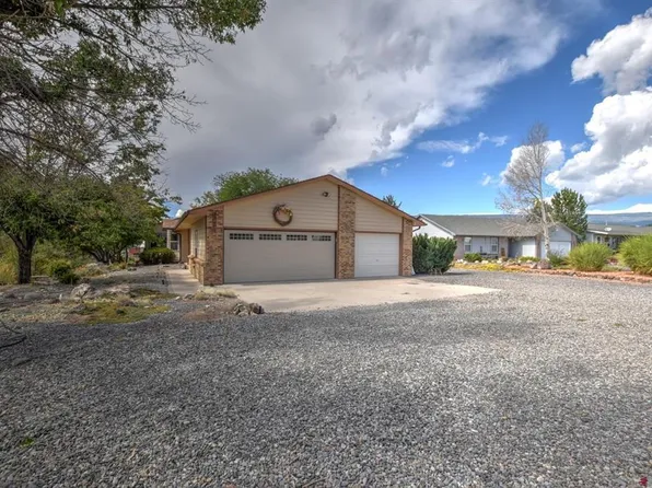 20607 Del Ray Drive, Eckert, CO 81418