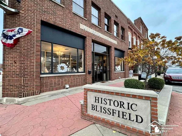 101 S Lane St, Blissfield, MI 49228