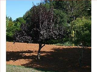 4th image of 226 Sherman Dr