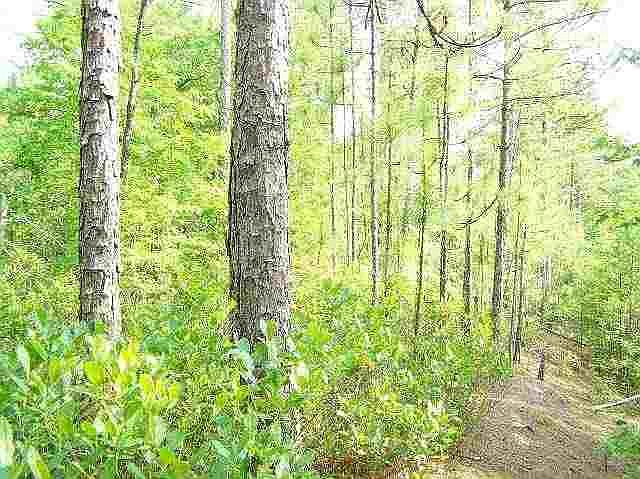 2nd image of Lot 242 Rob Roy Road