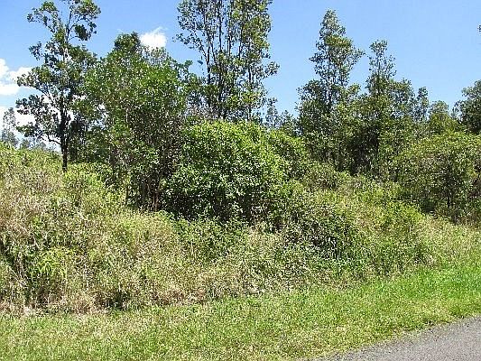 2nd image of LOT 7875th