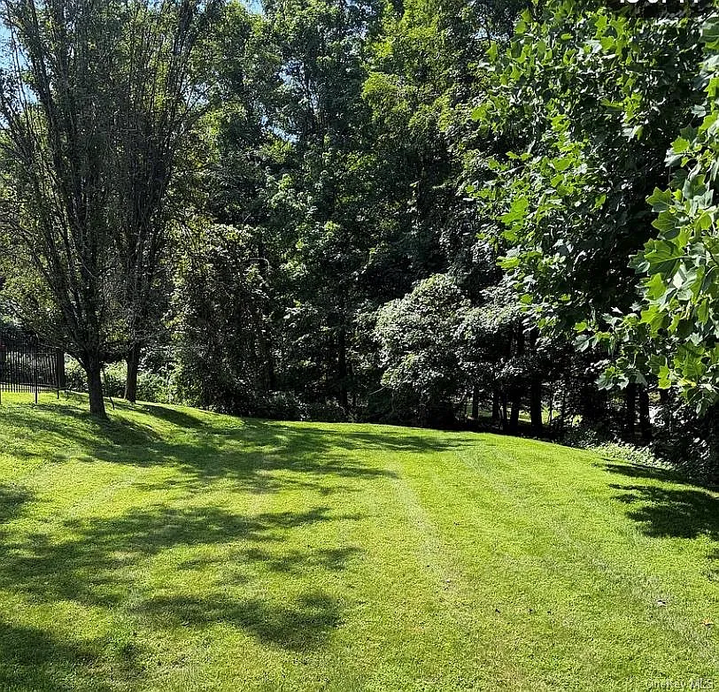 2 bed, 1.0 bath, 1000 sqft, $3,550 — Photo 4