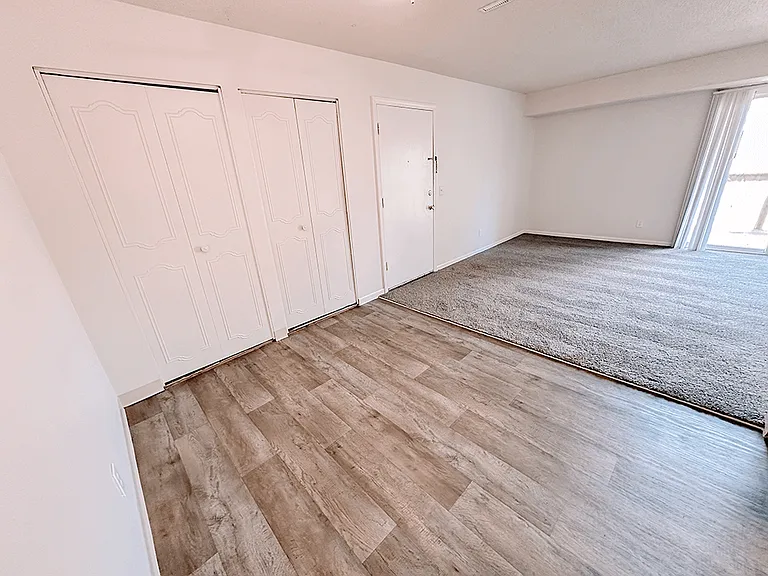Hardwood-Style Flooring & Plush Carpeting