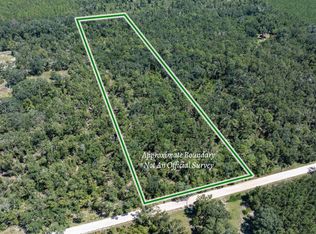 145th Rd, Mc Alpin, FL 32062
