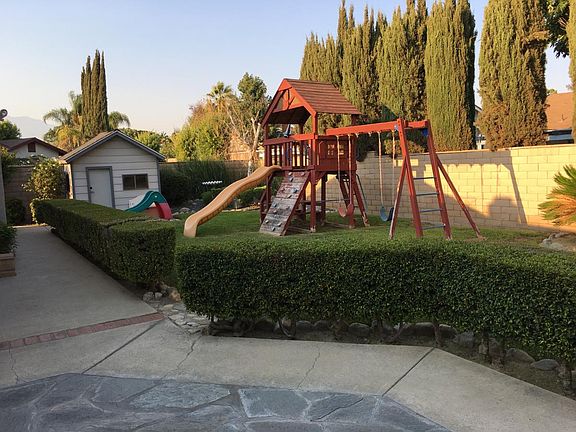 Back yard