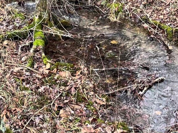 4th image of Ragweed Valley Rd