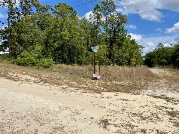 LOT 5 NE 12th St, Williston, FL 32696