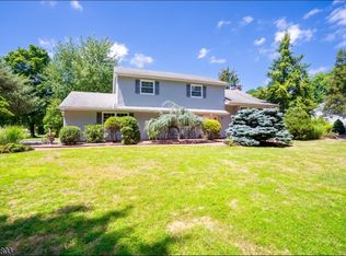 10 Ardsley Rd, Hillsborough, NJ 08844