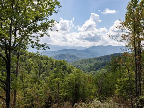 1080 Hembree Hollow Rd Lot X, Townsend, TN 37882