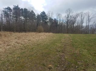 4572 Millers Run Fallen Timber Rd, Lucasville, OH 45648