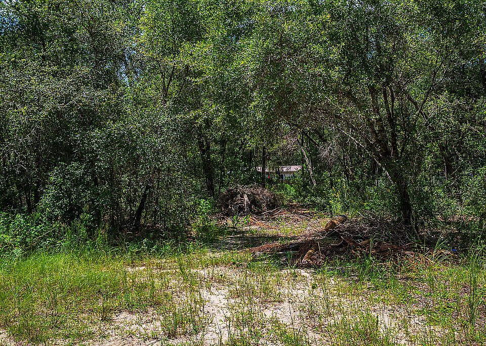 2nd image of Oakridge Dr