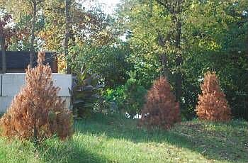 2nd image of 8700 Oak Hill School Rd