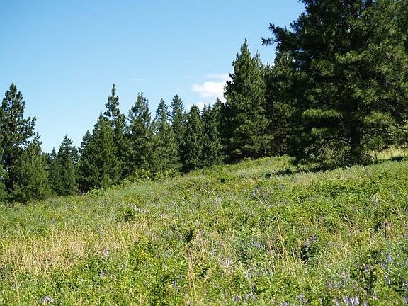 5th image of 1726 Mountain Garden Way