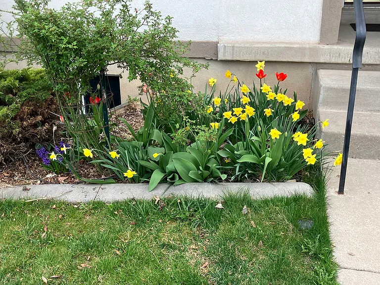 1361 N 1700 W — Photo 21