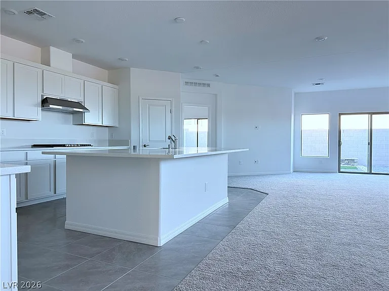 696 Stone Hammer Ave — Photo 10