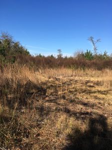 0 Clyde Rd, Springfield, GA, 31329