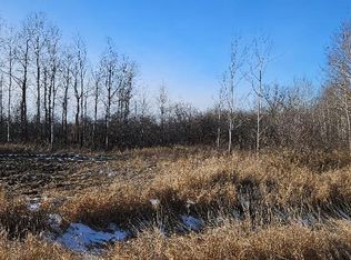 PARCEL 3 Willow Rd NE, Carlos, MN 56319