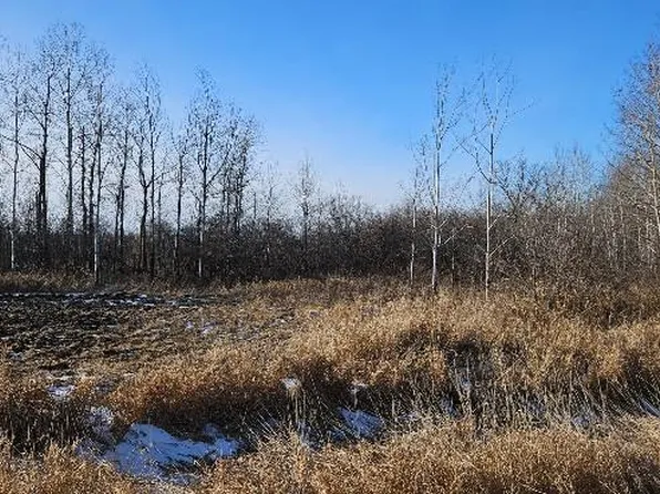 PARCEL 3 Willow Rd NE, Carlos, MN 56319