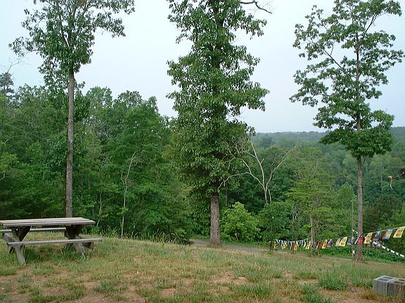 View from Commercial