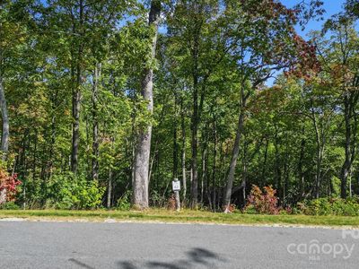 0 Mountain Grove Ln Lot 62, Fletcher, NC, 28732