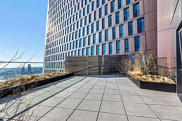 Rented by Bold Marketing