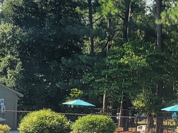 3rd image of 131 Villa Dr