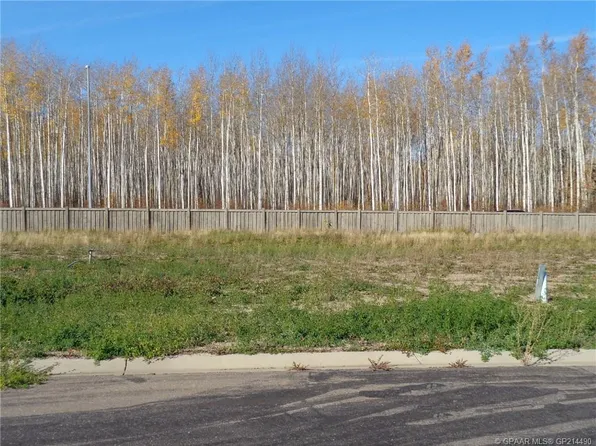 21 Bear Creek Dr, High Level, AB T0H