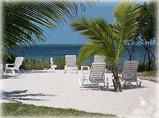 1st image of 88500 Overseas Hwy APT 434