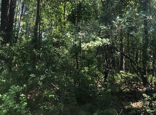 Bossie Ln, Georgetown, SC 29440