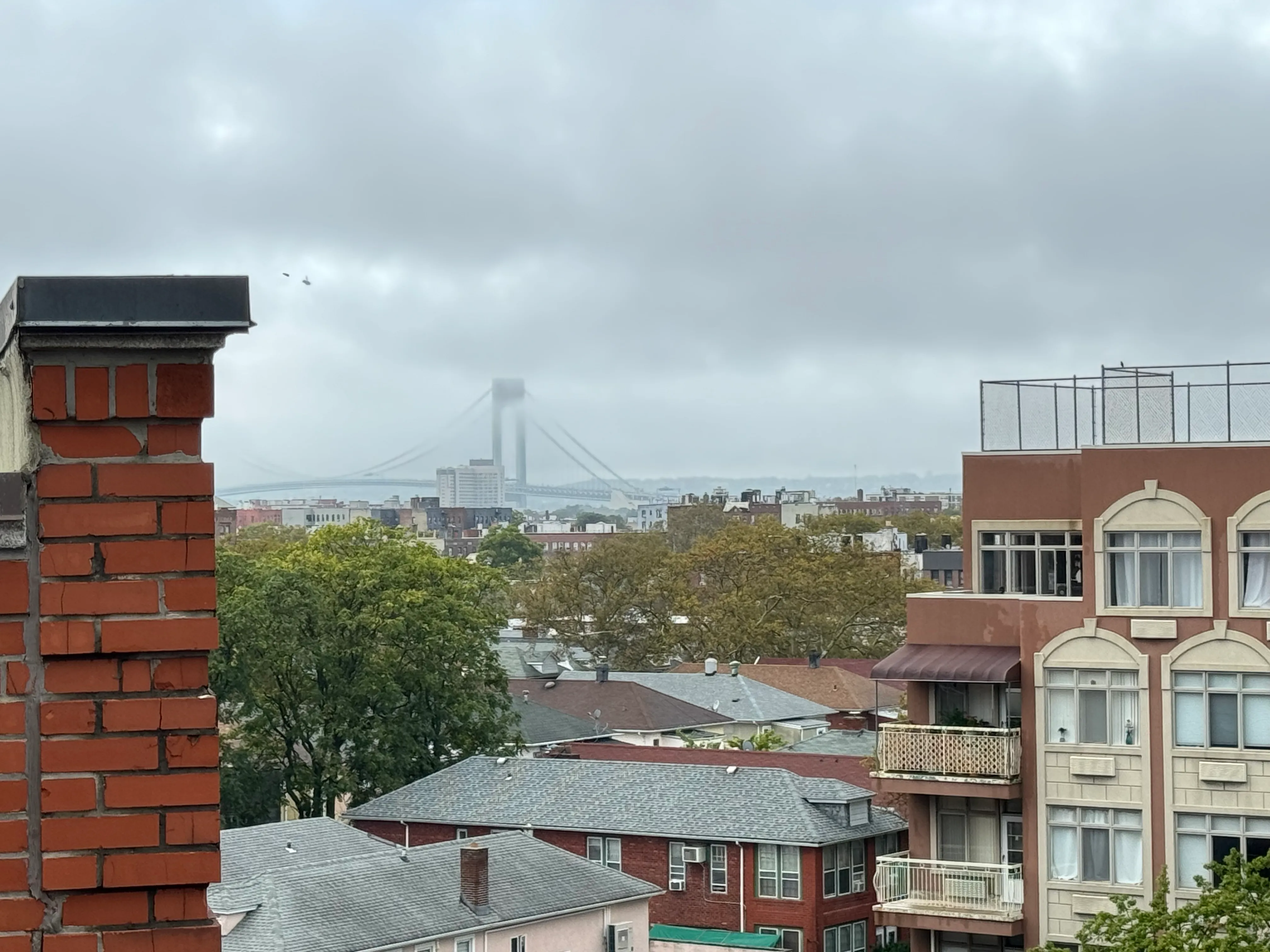 26 Avenue P #7C in Gravesend, Brooklyn | StreetEasy