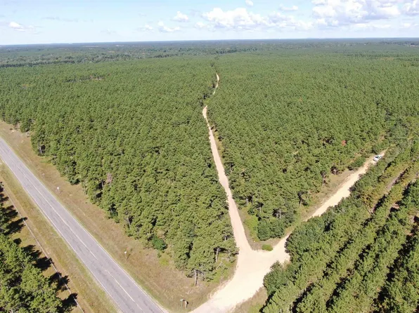 40 AC Cty O Acres, Nekoosa, WI 54457