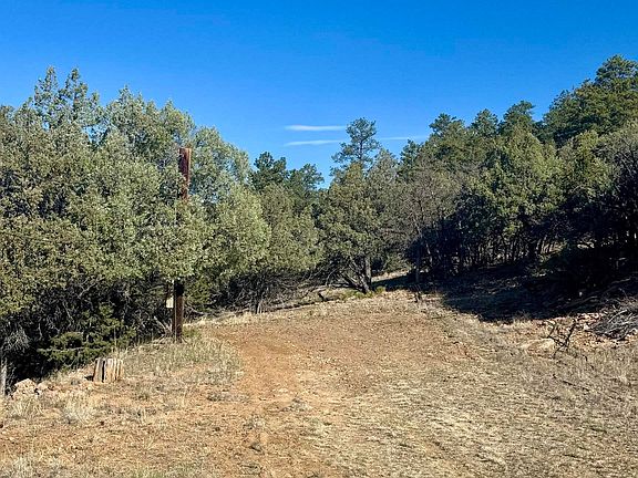 5th image of Buena Rd