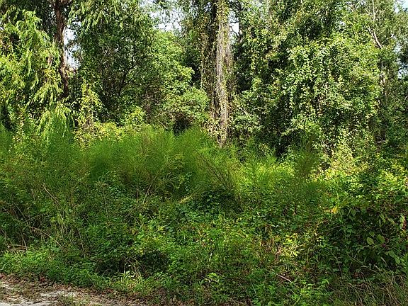 2nd image of 0 Avenue D