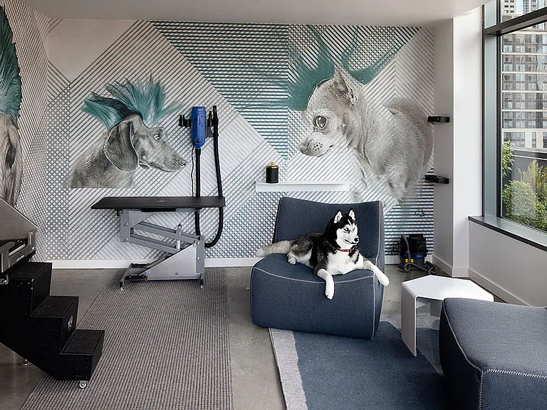 Apartment community Pet Spa at Griffis Seattle Waterfront in Seattle, Washington.