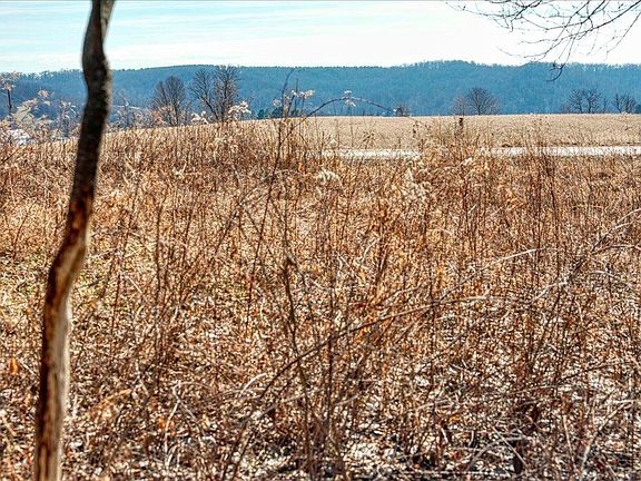 3rd image of E17497 Gross Valley Lane