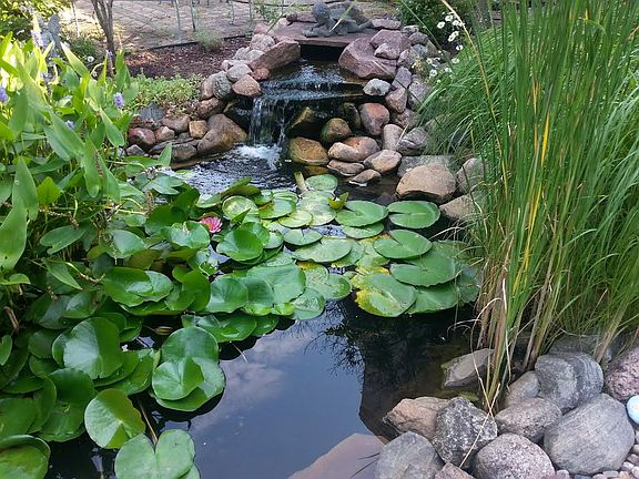 2 ponds-KOI included