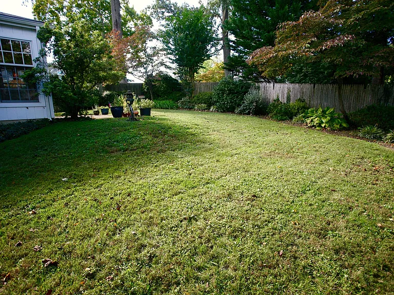 Beautiful large backyard