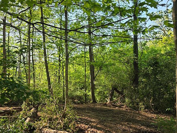 3rd image of 11965 Stone Mill Rd